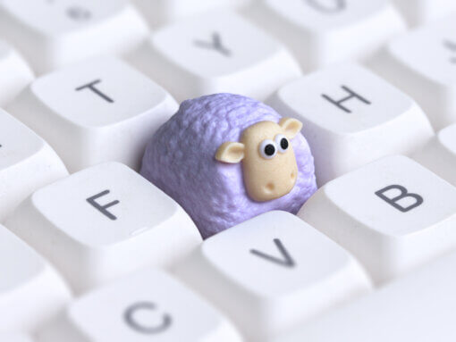 Sheepy - Image 12