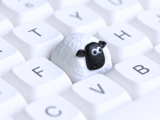 Sheepy
