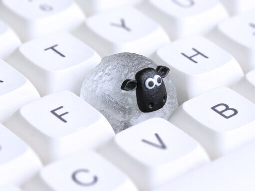 Sheepy - Image 14